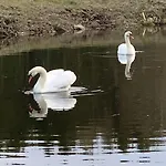 Kongsholmlund. Enjoy The Countryside. Vejby