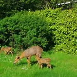 Kongsholmlund. Enjoy The Countryside. Apartamento