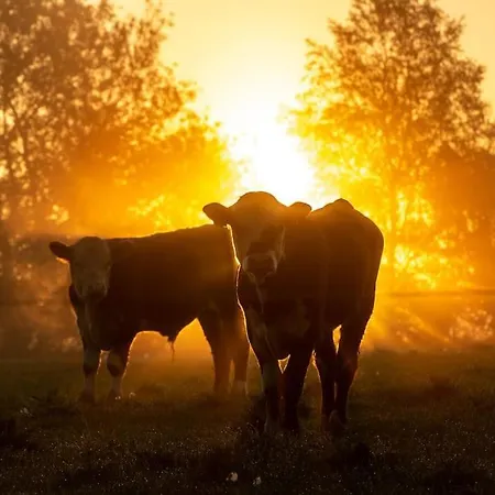 Kongsholmlund. Enjoy The Countryside. Lägenhet *