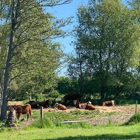 Kongsholmlund. Enjoy The Countryside. *