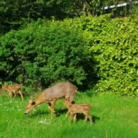 Kongsholmlund. Enjoy The Countryside. Lägenhet