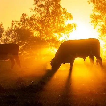 Lejlighed Kongsholmlund. Enjoy The Countryside.